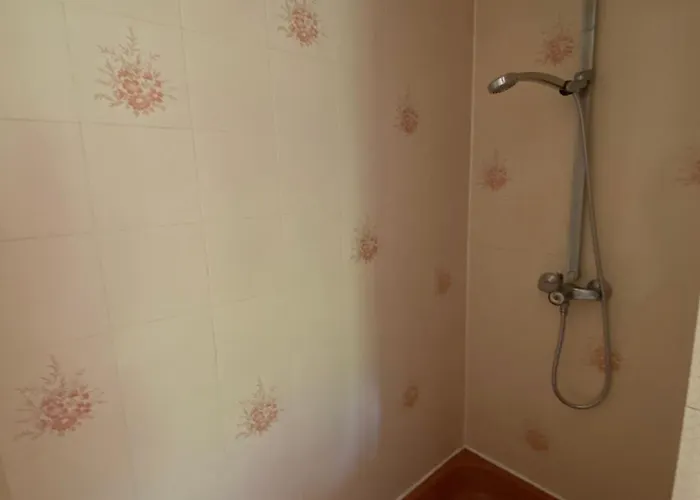 Le Des Ramiers * Castelsarrasin