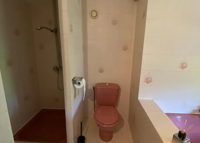 Le Des Ramiers Holiday home Castelsarrasin